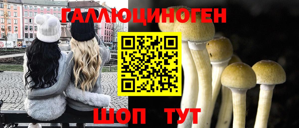 Галлюциногенные грибы GOLDEN TEACHER  Вход с VPN  Усть-Джегута 